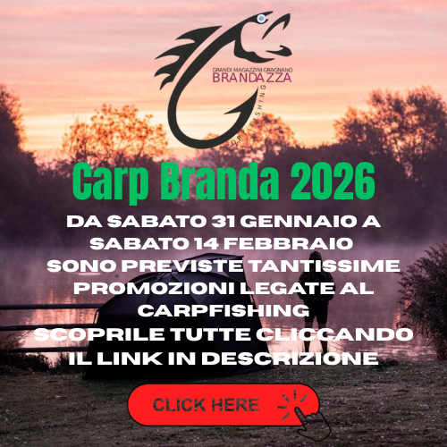 Carp Branda
